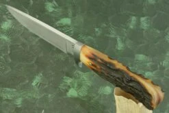 Drop Point Hunter With Amber Stag -Optimal Knives Store 102235 3 x