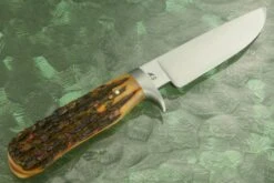 Drop Point Hunter With Amber Stag -Optimal Knives Store 102235 5 x