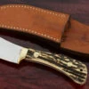 Model 8 Skinner With Stag
