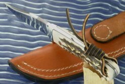 Texas Hunter With Stag -Optimal Knives Store 104209 4 x