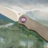 Titanium EDC Framelock Front Flipper (IKBS)
