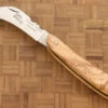 Folding Mushroom Knife, Olive Wood