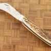 Folding Mushroom Knife, Stag