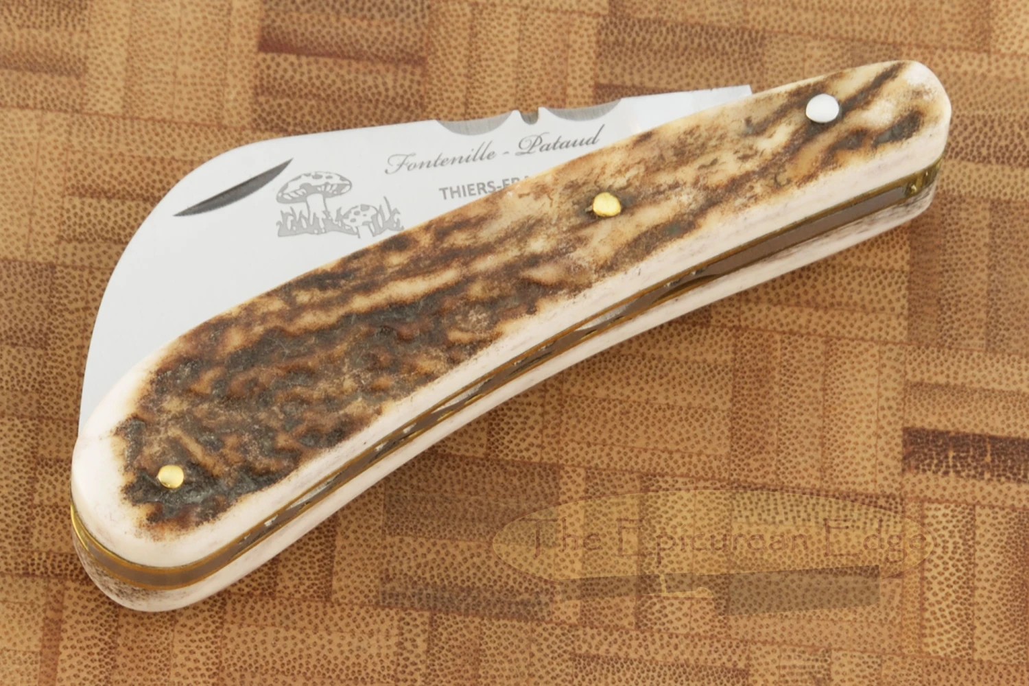 Folding Mushroom Knife, Stag 2 Folding Mushroom Knife, Stag - Image 2