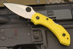 Spyderco Dragonfly 2 Salt Backlock Folder (C28PYL2) - H1
