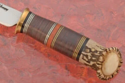 Scagel Style Hunter With Crown Stag -Optimal Knives Store 106155 3 x