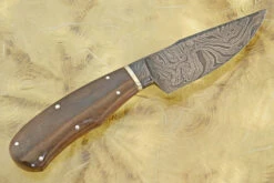 Integral Damascus Field Knife With Dinosaur Bone 15 Integral Damascus Field Knife With Dinosaur Bone -Optimal Knives Store 106391 8 x