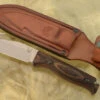 Benchmade Saddle Mountain Skinner With Hook (15004)