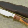 High Clip Point Hunter With Stag And Maple