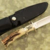 Subhilt Fighter With Stag