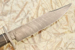 Damascus Bowie With Stag And African Blackwood 14 Damascus Bowie With Stag And African Blackwood -Optimal Knives Store 107312 7 x