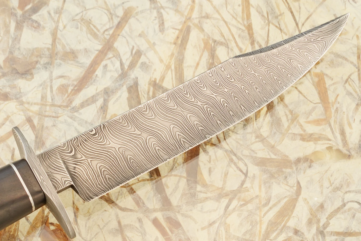 Damascus Bowie With Stag And African Blackwood 7 Damascus Bowie With Stag And African Blackwood - Image 7