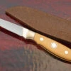Drop Point Hunter With Antique Micarta