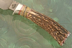 Damascus Drop Point Hunter With Stag And Mammoth Molar -Optimal Knives Store 107510 3 x