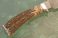 Damascus Drop Point Hunter With Stag And Mammoth Molar -Optimal Knives Store 107510 5 x