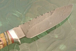 Damascus Drop Point Hunter With Stag And Mammoth Molar -Optimal Knives Store 107510 6 x