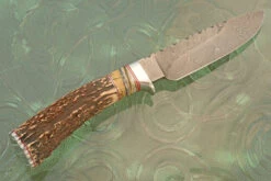 Damascus Drop Point Hunter With Stag And Mammoth Molar -Optimal Knives Store 107510 7 x