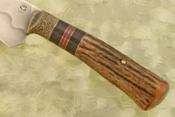 Utility Knife With Stag - 1095 Carbon (5-1/8") -Optimal Knives Store 107541 4 x