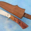 Drop Point Hunter Amboyna Burl