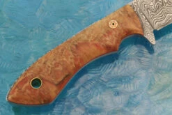 Damascus Shark Tooth With Stabilized Box Elder Burl -Optimal Knives Store 107725 7 x