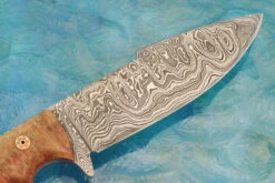 Damascus Shark Tooth With Stabilized Box Elder Burl -Optimal Knives Store 107725 8 x