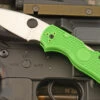 Spyderco Native 5 Salt With Green FRN And LC200N (C41PGR5)
