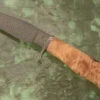 Mosaic Damascus Clip Point Hunter With Maple Burl