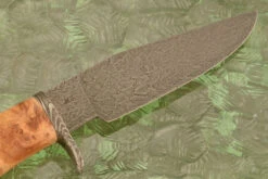Mosaic Damascus Clip Point Hunter With Maple Burl -Optimal Knives Store 108005 6 x