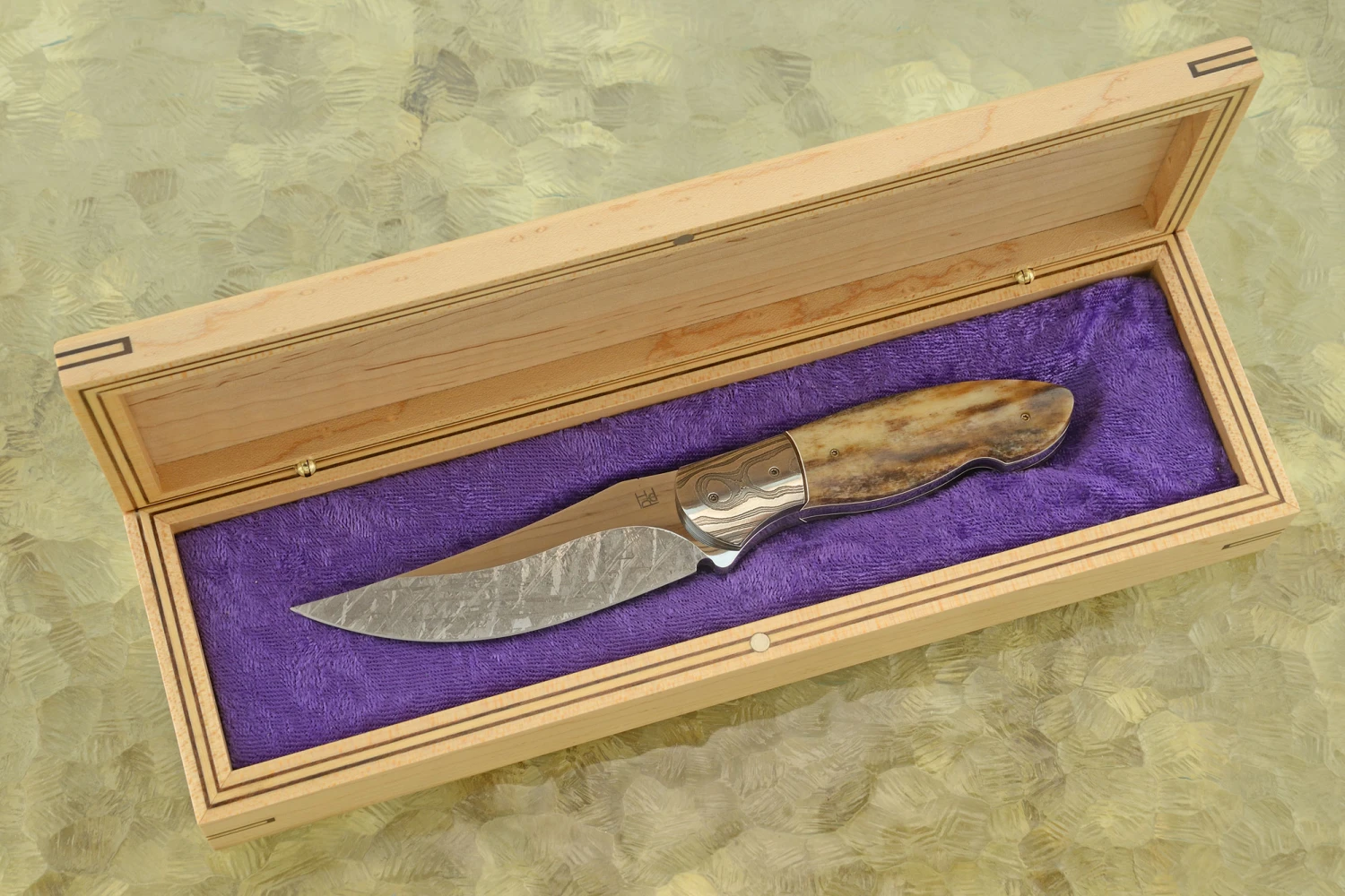 Meteorite Hunter 1 Meteorite Hunter