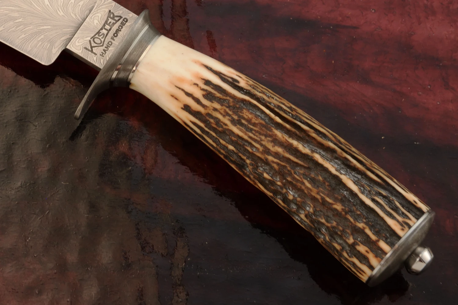 Feather Damascus Clip Point Hunter With Stag 3 Feather Damascus Clip Point Hunter With Stag - Image 3