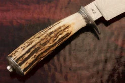 Feather Damascus Clip Point Hunter With Stag 11 Feather Damascus Clip Point Hunter With Stag -Optimal Knives Store 108306 5 x