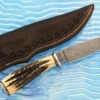 Feather Damascus Small Game Hunter With Stag