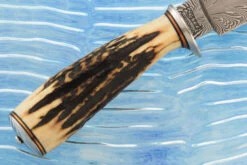 Feather Damascus Small Game Hunter With Stag -Optimal Knives Store 108308 3 x