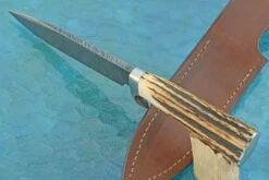 Damascus Hunter/Utility With Stag -Optimal Knives Store 108323 5 x