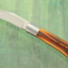 Trapper Slipjoint With Sambar Stag - CPM-154