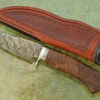 Damascus Hunter With Ringed Gidgee