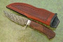 Damascus Hunter With Ringed Gidgee