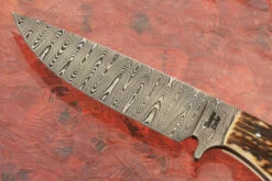 Damascus Hunter With Stag -Optimal Knives Store 109060 3 x