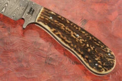 Damascus Hunter With Stag -Optimal Knives Store 109060 4 x