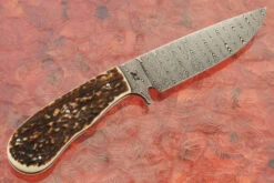Damascus Hunter With Stag -Optimal Knives Store 109060 8 x