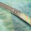 Engraved Backlock Interframe With Blacklip Mother Of Pearl