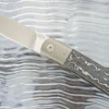 Front Flipper With White Storm FatCarbon And Titanium (IKBS) - M390