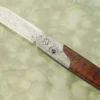 Shinkansen Bullet Front Flipper With Snakewood And Damascus