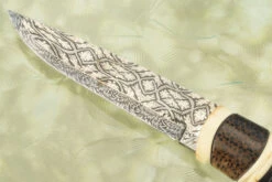 Damascus Swedish Hunter With Mammoth, Masur Birch And Black Palm -Optimal Knives Store 109331 7 x