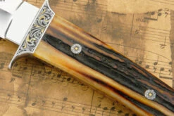 Engraved Loveless Style Mini-Wilderness With Amber Stag 11 Engraved Loveless Style Mini-Wilderness With Amber Stag -Optimal Knives Store 89295 4 x